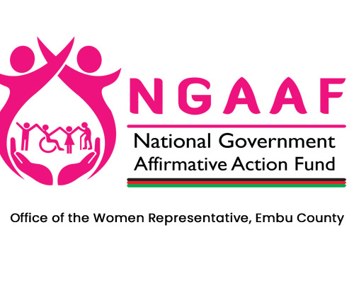 National Government Affirmative Action Fund